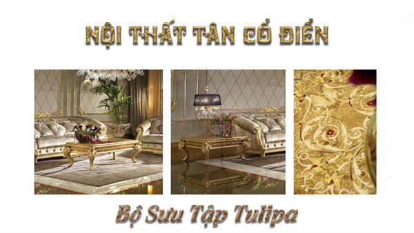 Bộ Sưu Tập Tulipa